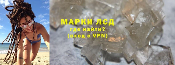 PSILOCYBIN Бородино