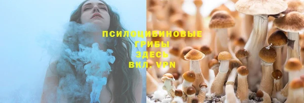 PSILOCYBIN Бородино