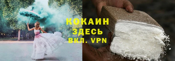 PSILOCYBIN Бородино