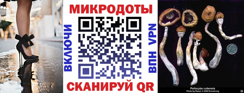 Галлюциногенные грибы MAGIC MUSHROOMS  где можно купить   Каневская 
